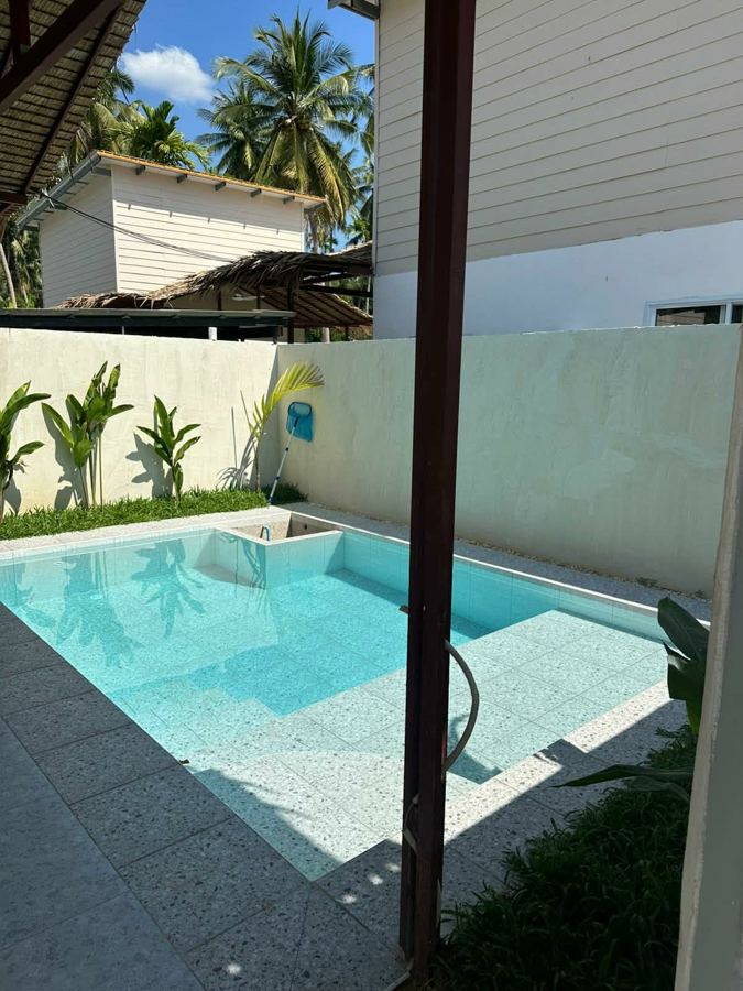 Private pool with palm trees